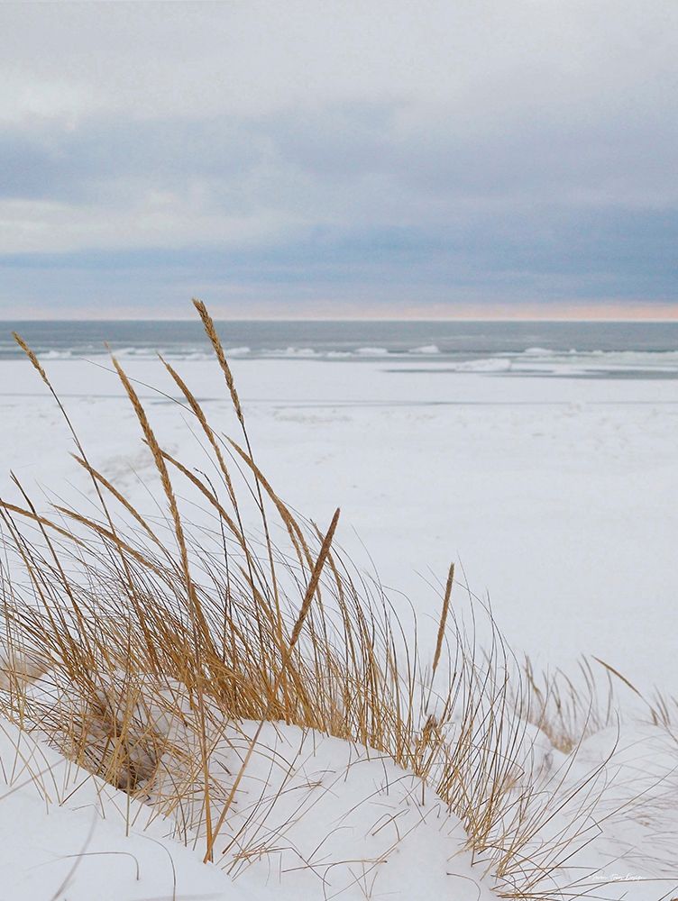 Peaceful Beach art print by Seven Trees Design for $57.95 CAD