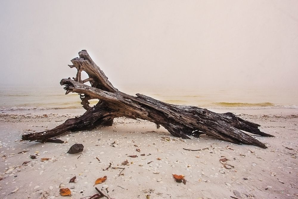 Natures Sculpture art print by Catch A Star Fine Art for $57.95 CAD