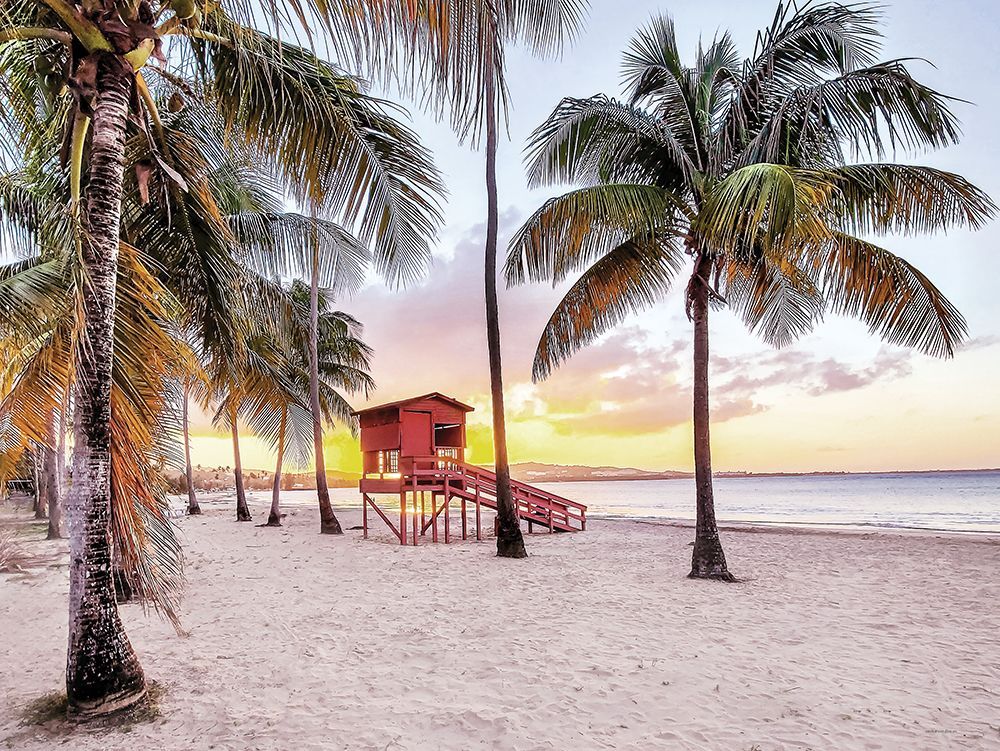 Tropical Twilight art print by Catch A Star Fine Art for $57.95 CAD
