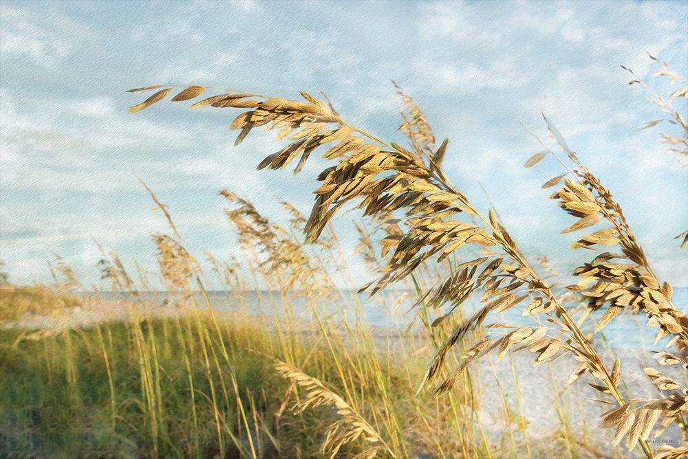 Shoreline Through the Sea Oats art print by Catch A Star Fine Art for $57.95 CAD