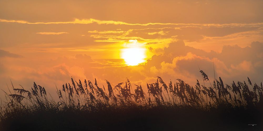 Sea Oats Silhouette art print by Catch A Star Fine Art for $57.95 CAD