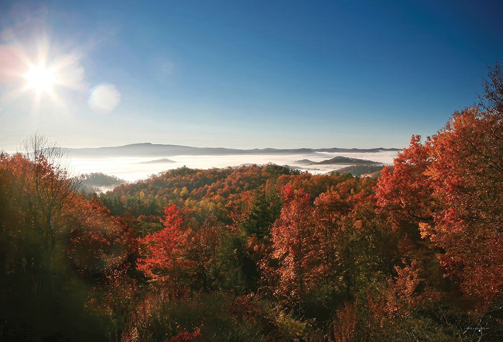 Mountain Morning Majesty art print by Catch A Star Fine Art for $57.95 CAD