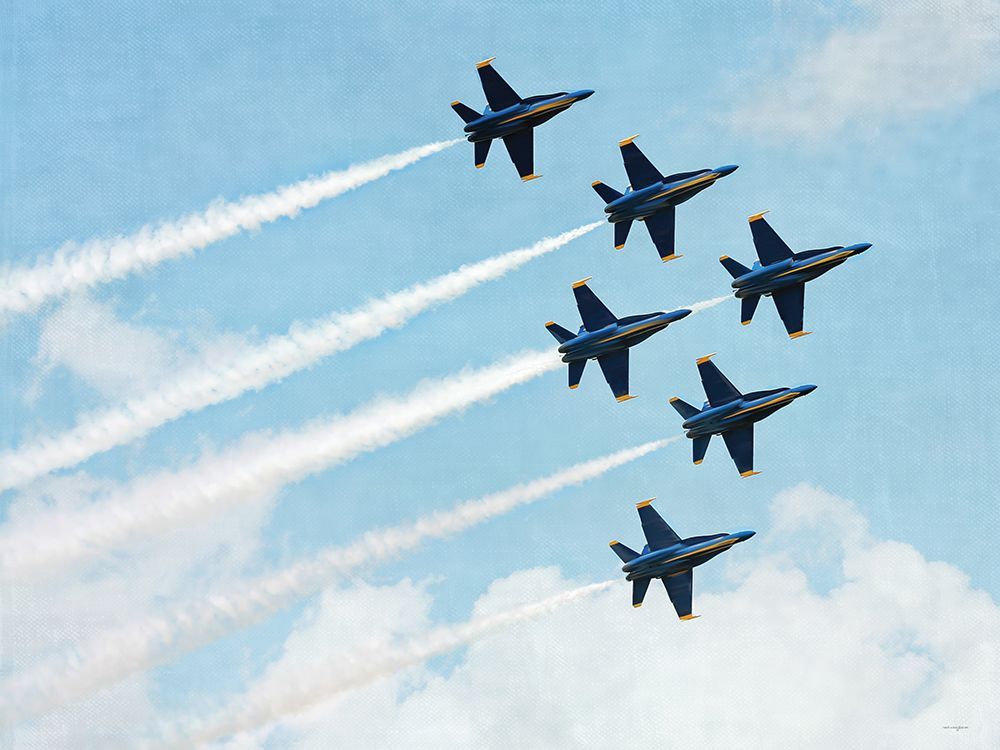 Aerial Alliance art print by Catch A Star Fine Art for $57.95 CAD