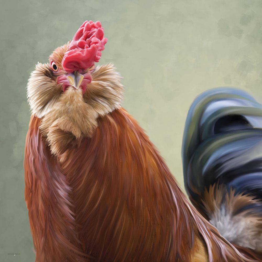 Barnyard Proctor art print by Catch A Star Fine Art for $57.95 CAD