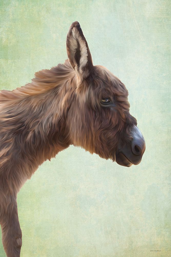 Willow the Donkey art print by Catch A Star Fine Art for $57.95 CAD