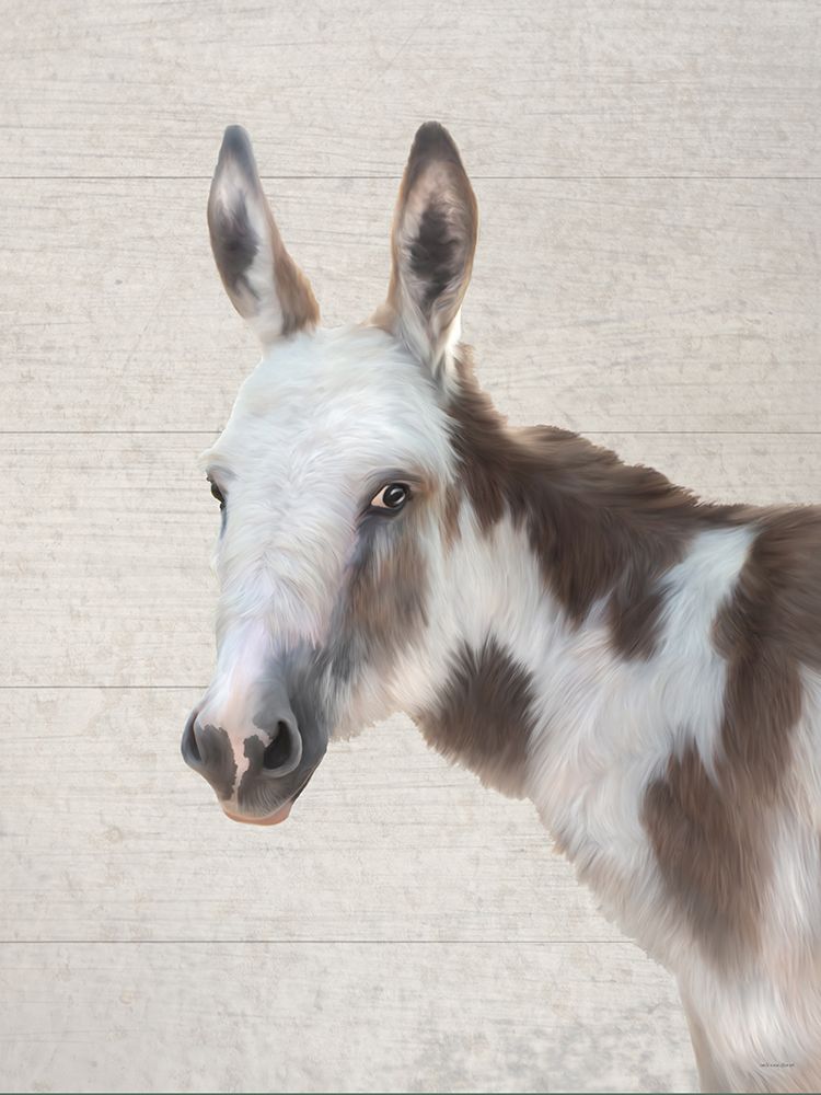 Walter the Donkey art print by Catch A Star Fine Art for $57.95 CAD
