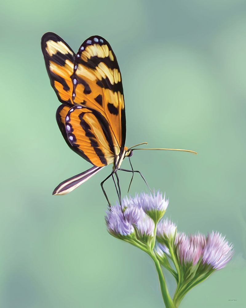 Delicate Dance I art print by Catch A Star Fine Art for $57.95 CAD
