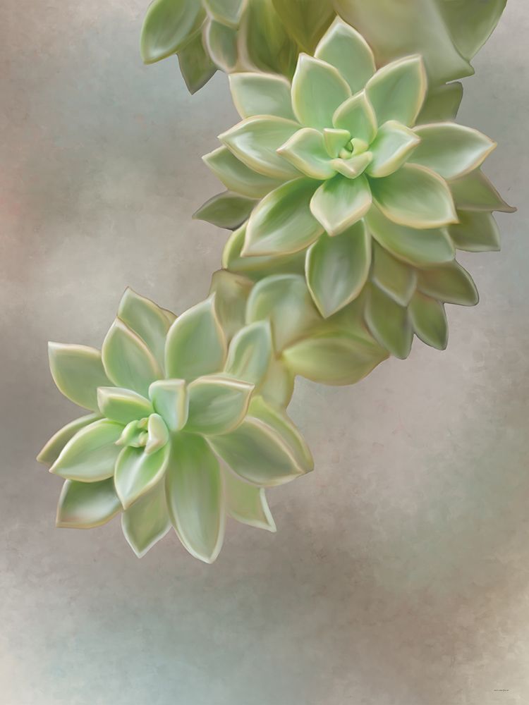 Flourishing Echeveria II art print by Catch A Star Fine Art for $57.95 CAD