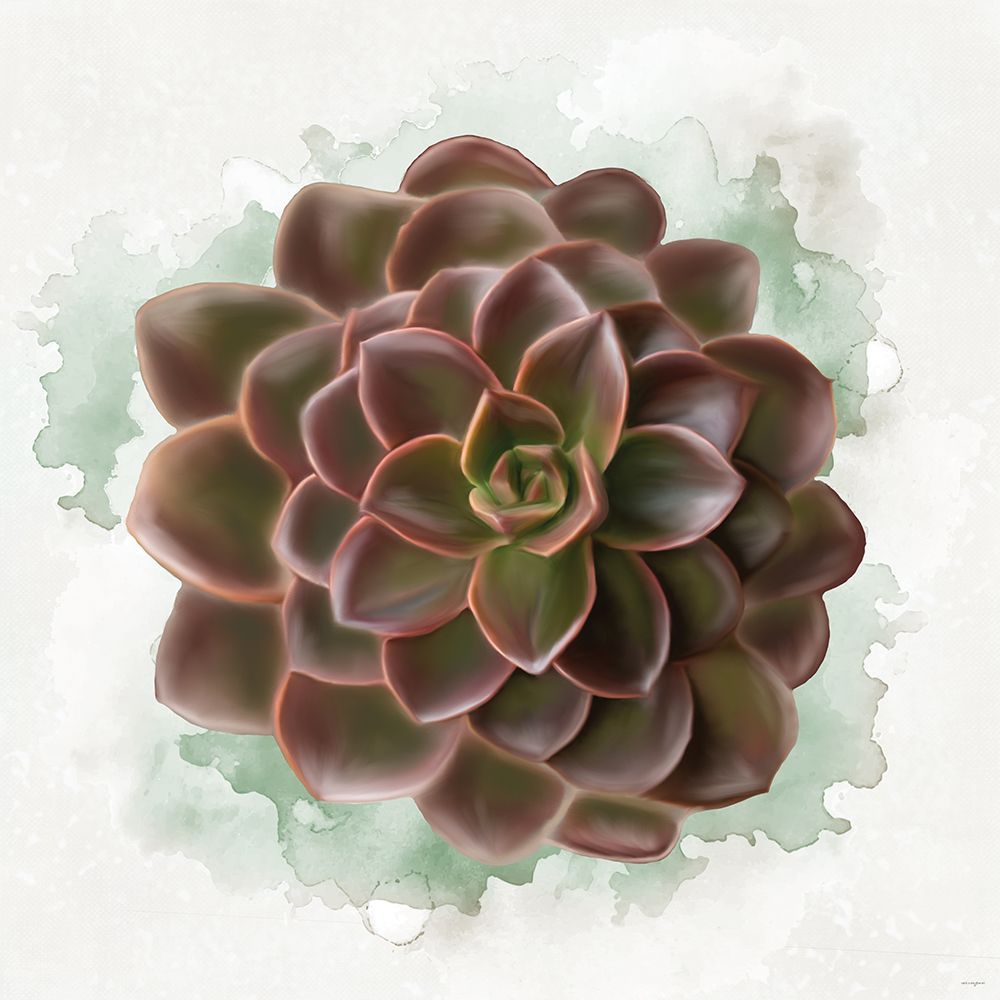 Succulent Collection III art print by Catch A Star Fine Art for $57.95 CAD
