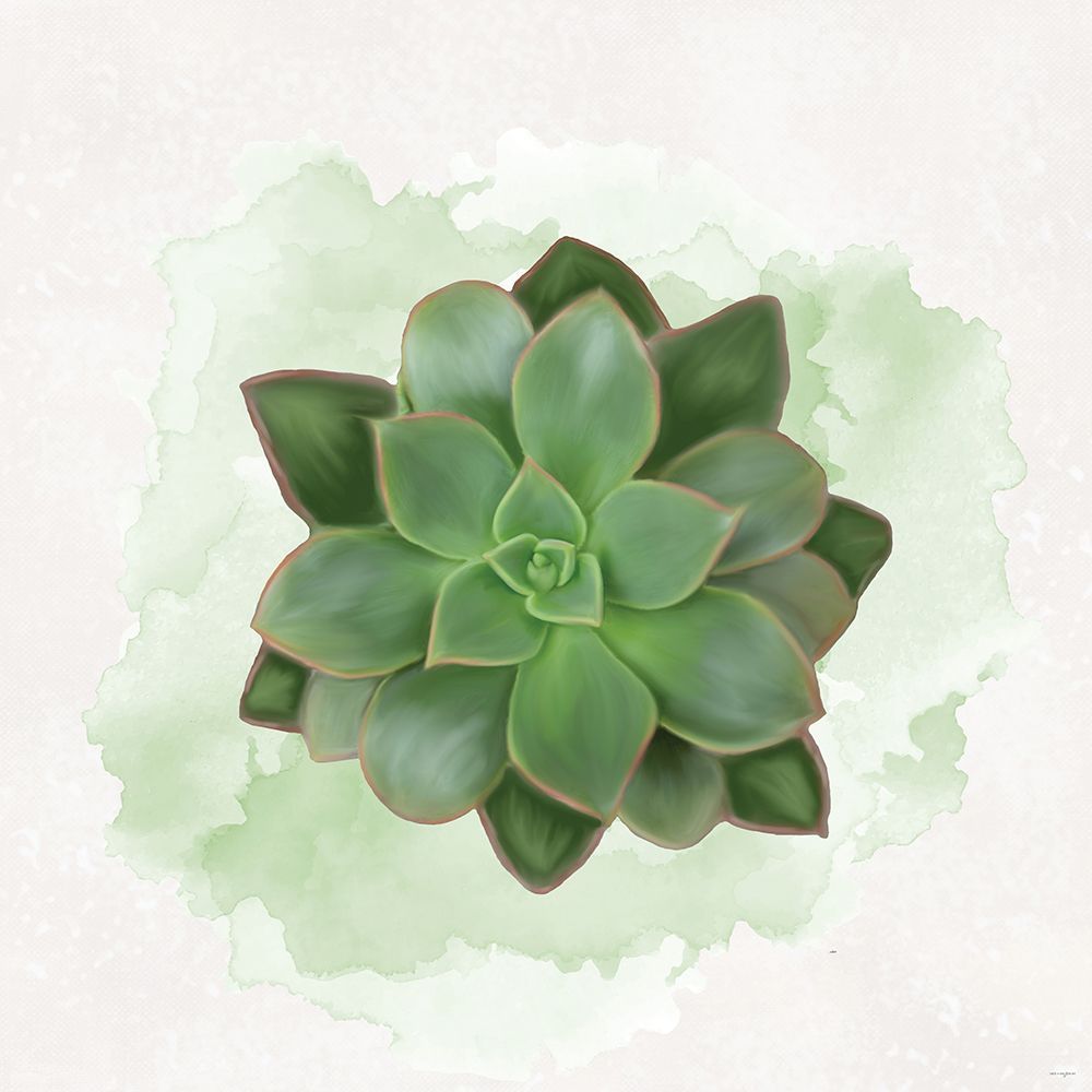 Succulent Collection IV art print by Catch A Star Fine Art for $57.95 CAD