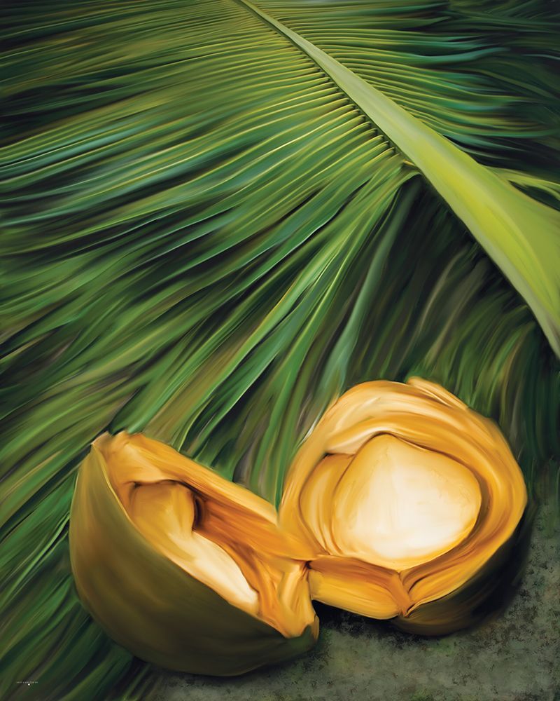Palm And Coconut art print by Catch A Star Fine Art for $57.95 CAD