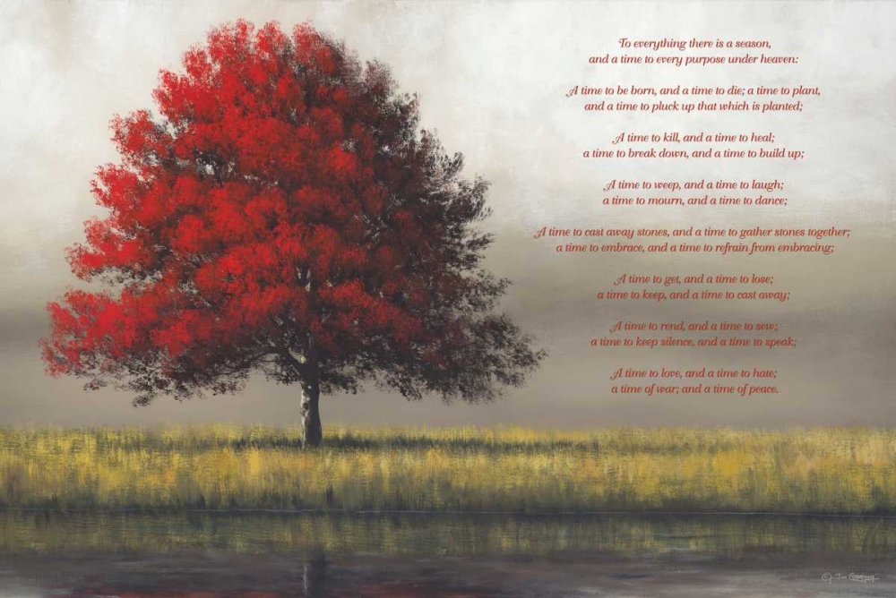 Time for Everything art print by Tim Gagnon for $57.95 CAD