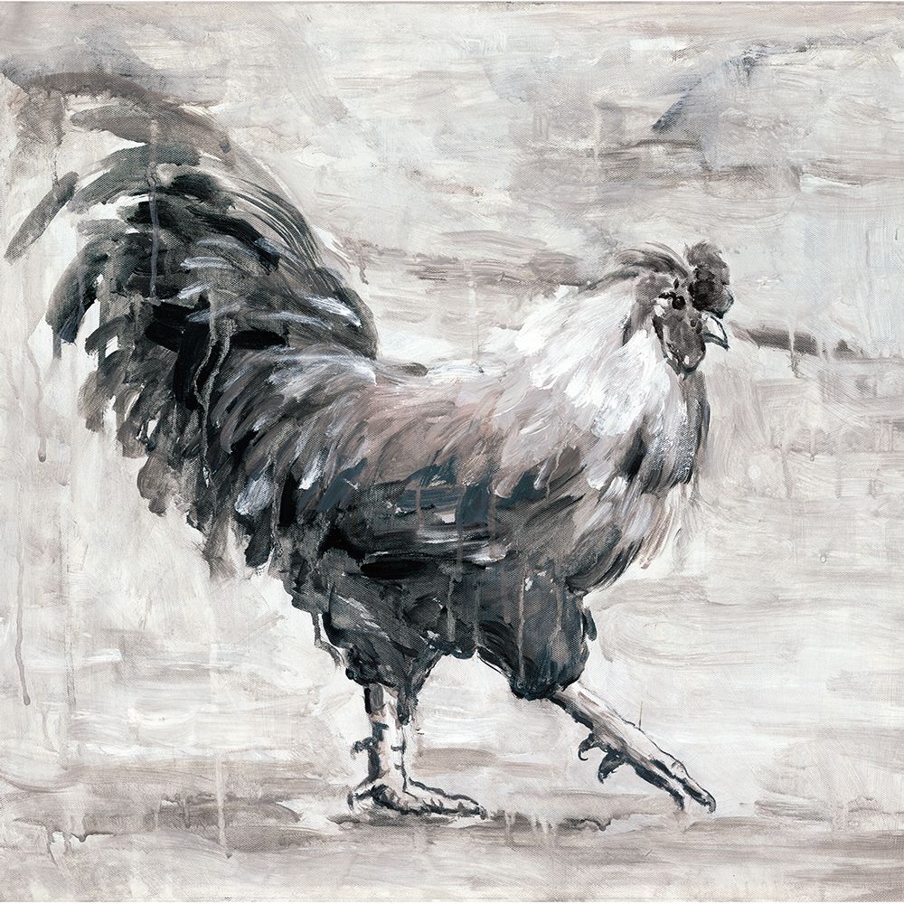Rooster Strut art print by White Ladder for $57.95 CAD