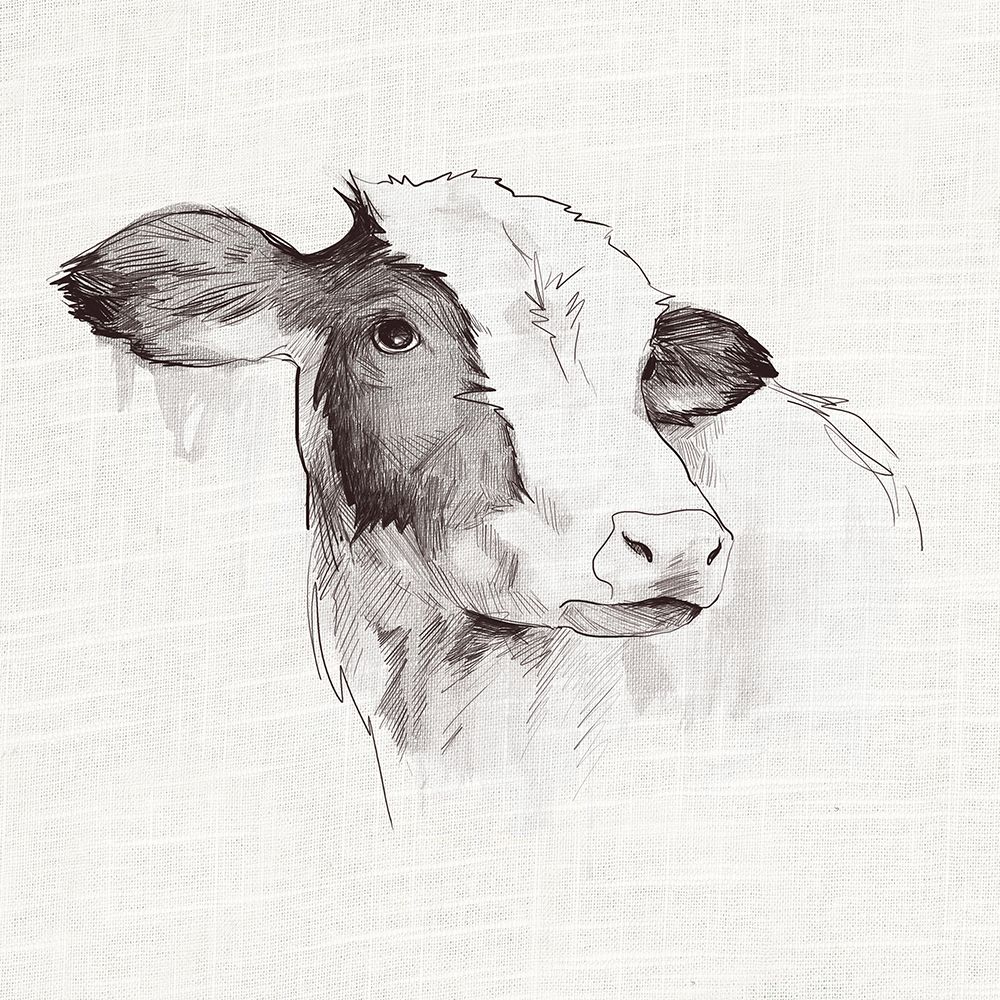 Cow Ink Drawing art print by White Ladder for $57.95 CAD