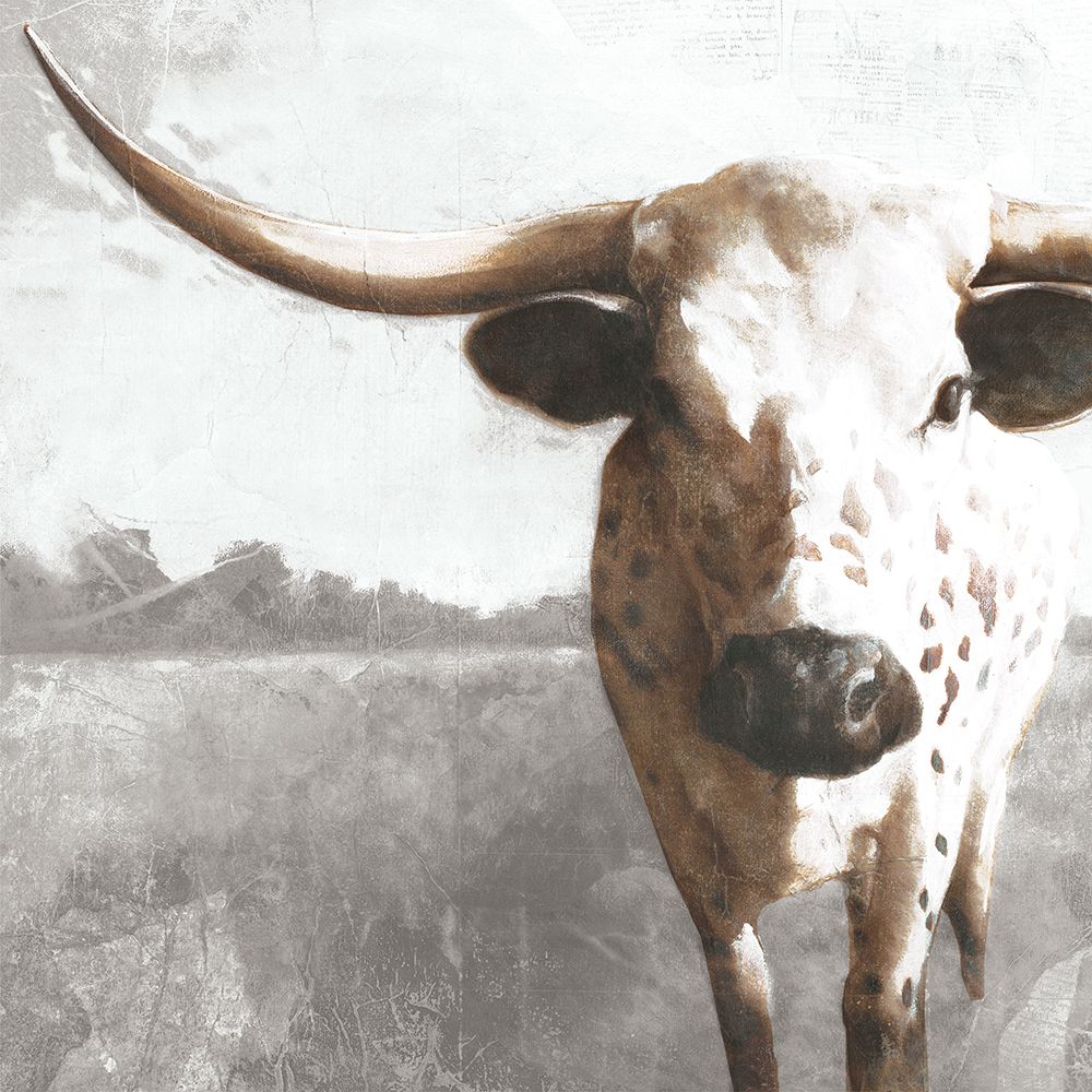 Longhorn Luke art print by White Ladder for $57.95 CAD