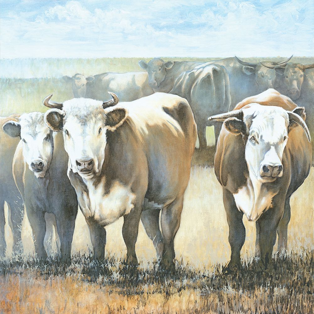 Bulls in the Field art print by White Ladder for $57.95 CAD