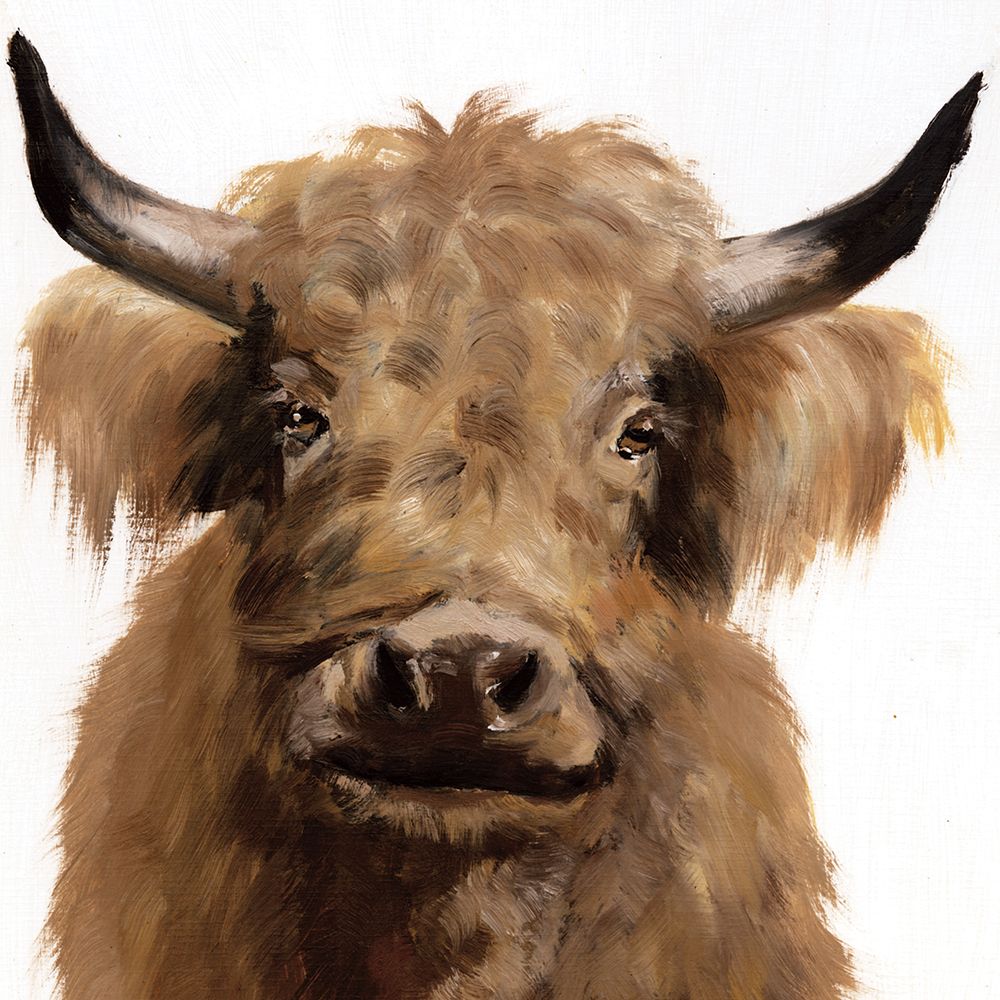 Fluffy Highland art print by White Ladder for $57.95 CAD