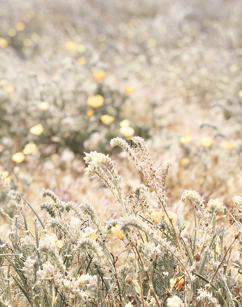 Sweet Vintage Field art print by Yass Naffas Designs for $57.95 CAD