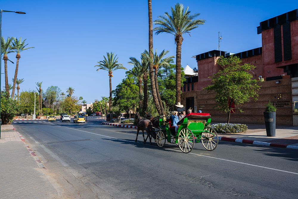 Horse-Drawn Carriage On Street With Palm Trees And Buildings. Marrakesh, Morocco art print by Alberto Biscaro for $57.95 CAD
