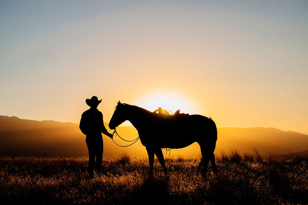 Cowboy And Horse Silhouetted By A Glowing Sunset In A Grassy Landscape. Oregon, USA art print by Pete Saloutos for $57.95 CAD