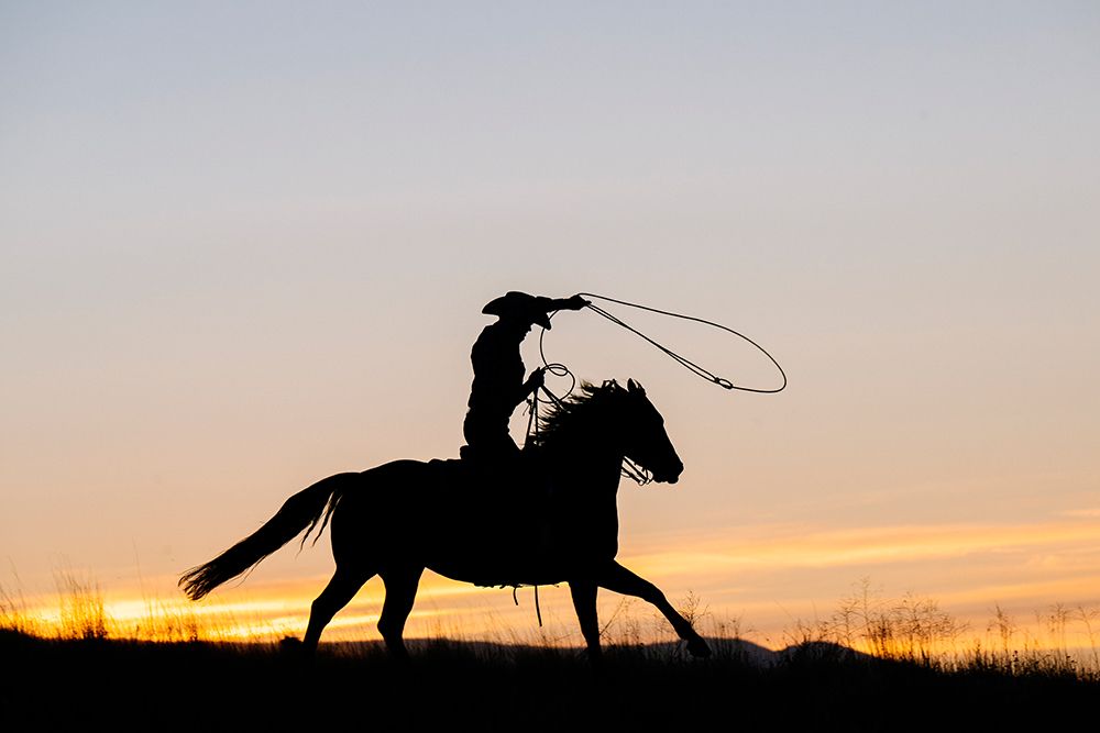 Silhouette Of A Cowboy On Horseback Casting A Lasso Against A Sunset Sky. Oregon, USA art print by Pete Saloutos for $57.95 CAD
