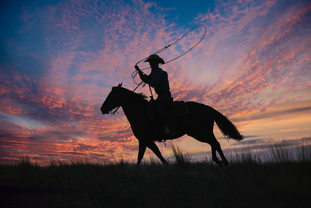 Silhouette Of A Cowboy On Horseback With A Lasso Against A Vibrant Sunset Sky. Oregon, USA art print by Pete Saloutos for $57.95 CAD