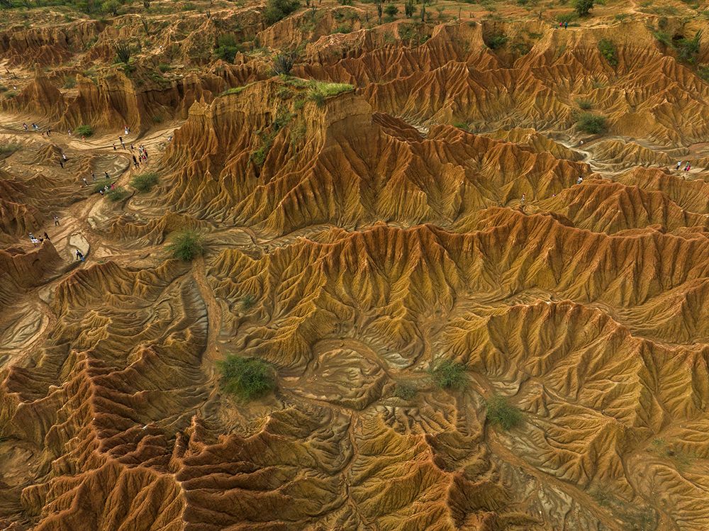 Aerial View Of Desert Canyon Erosion Patterns. Tatacoa Desert, Desierto De La Tatacoa, Colombia art print by Gabriel Roveda for $57.95 CAD
