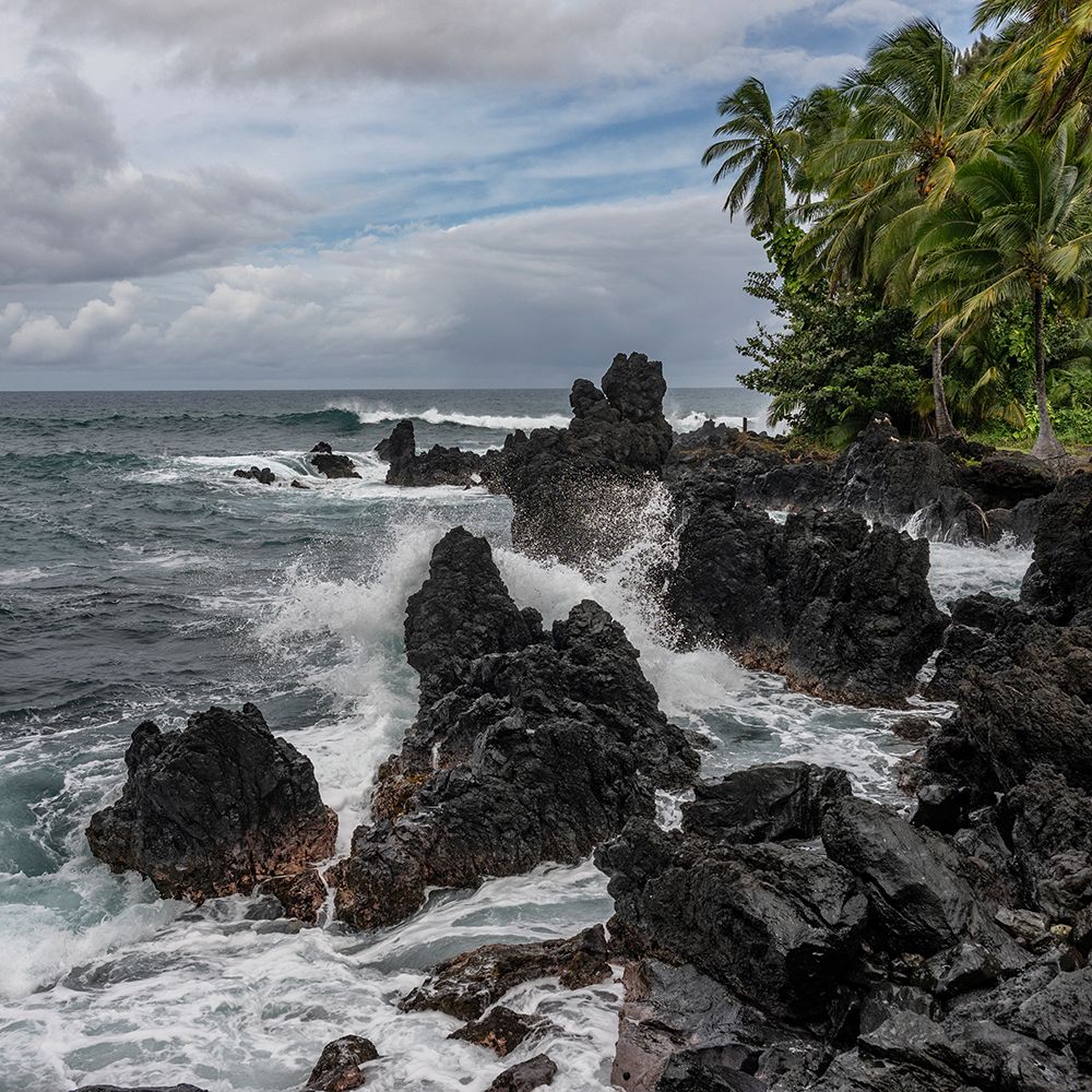 Rugged Black Volcanic Rocks On A Lush Tropical Coastline With Waves Crashing. Haiku, Hawaii, USA art print by Keith Levit for $57.95 CAD