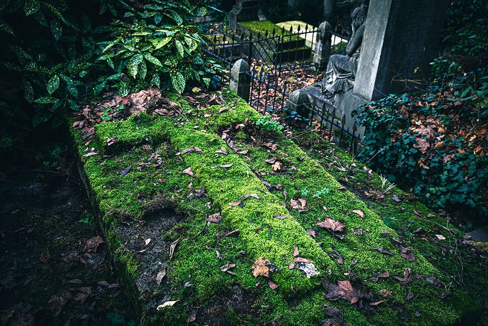 France, Ile-De-France, Paris, 20Th Arrondissement, Pere Lachaise Cemetery art print by Philippe Turpin for $57.95 CAD