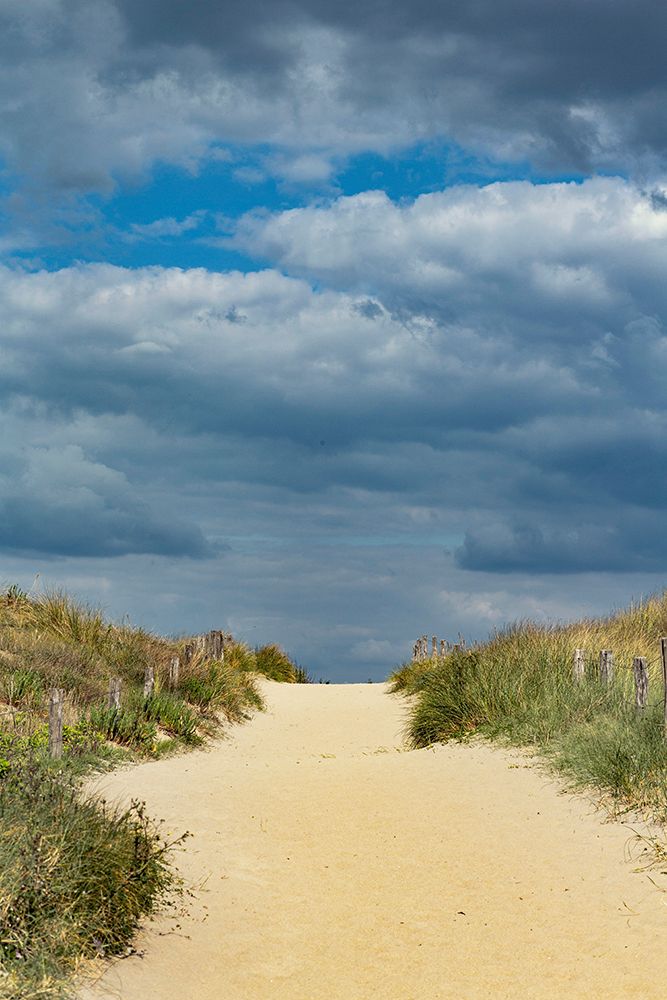 France, Ile De Noiruoutier, Barbatre, Beach Access Via The Dunes. art print by Jacques Loic for $57.95 CAD