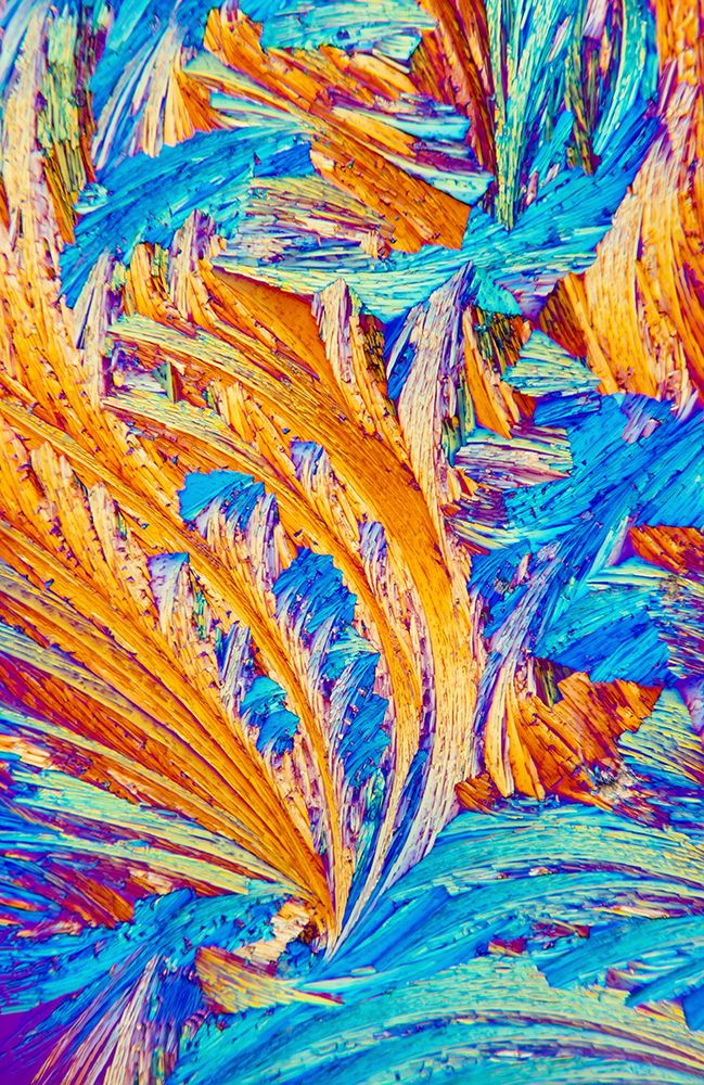 Vibrant Patterns Of Salicylic Acid Microcrystals In Blue And Orange art print by Robert Kohlhuber for $57.95 CAD