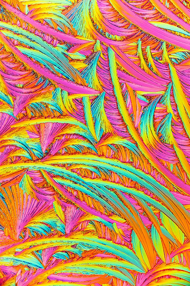 Colorful Crystals Of Salicylic Acid Showing Intricate Patterns art print by Robert Kohlhuber for $57.95 CAD