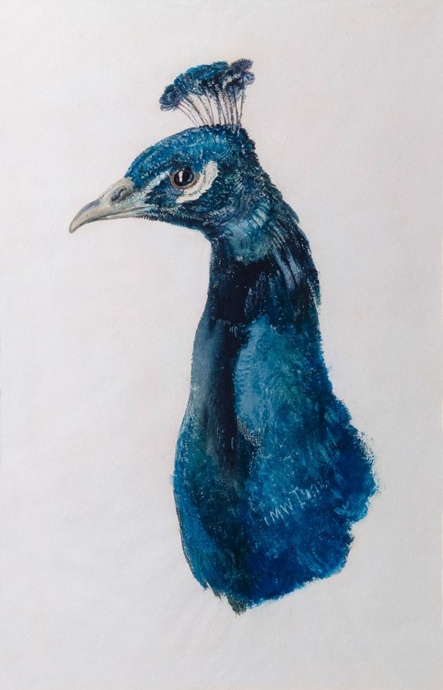 Peacock, Farnley Book Of Birds, Joseph Mallord William Turner, Circa 1816, art print by Joseph Mallord William Turner for $57.95 CAD