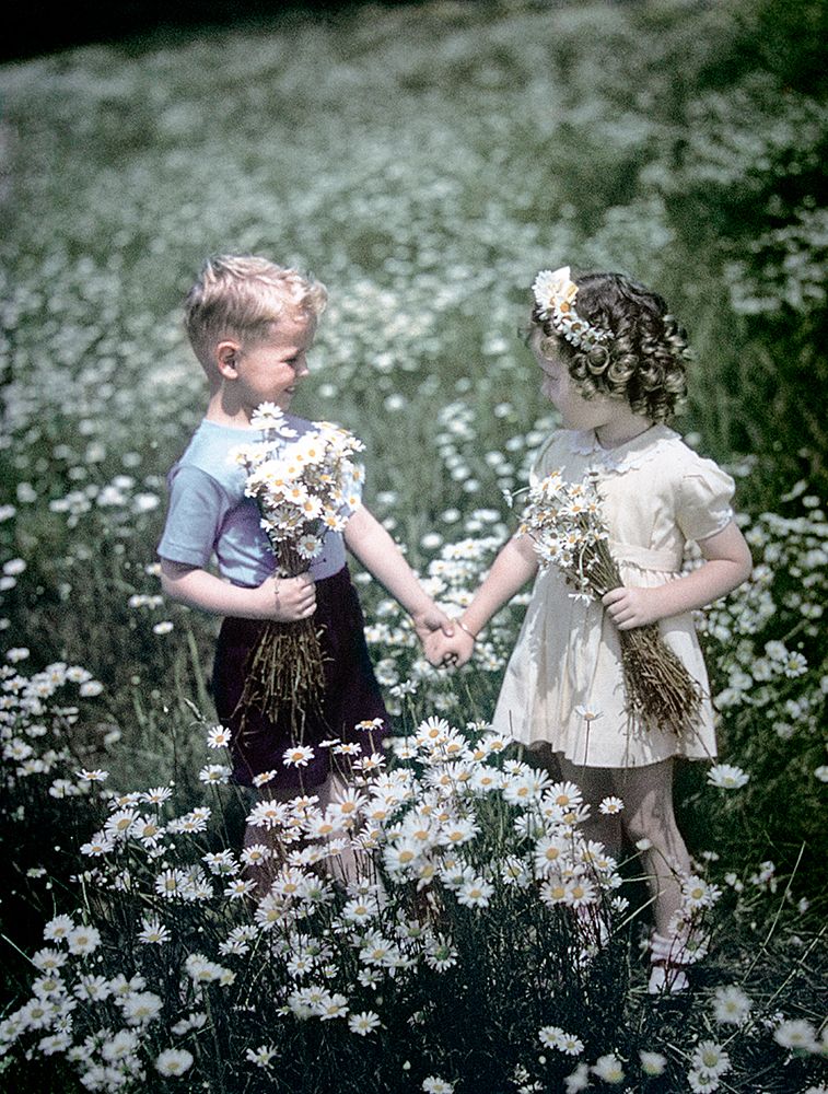 1940S 1950S Boy Girl Picking Daisies In Field Of Flowers art print by ClassicStock for $57.95 CAD