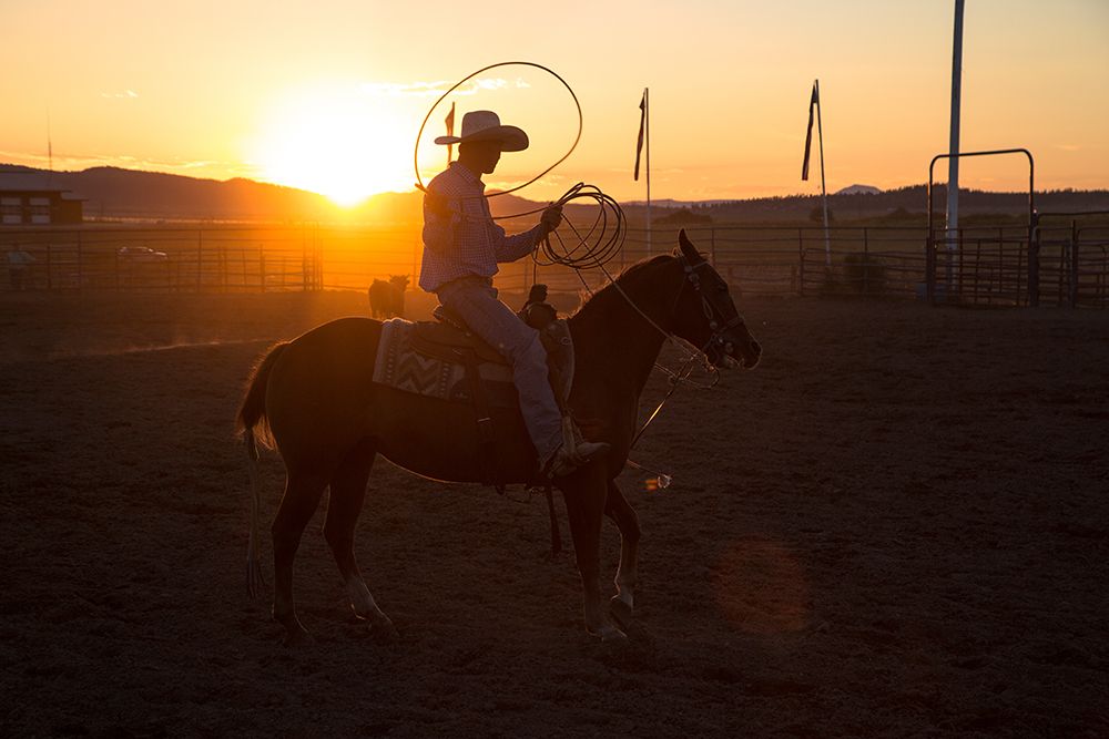 Cowboy Tossing Lasso During Rodeo At Sunset art print by Matthew Andrew for $57.95 CAD