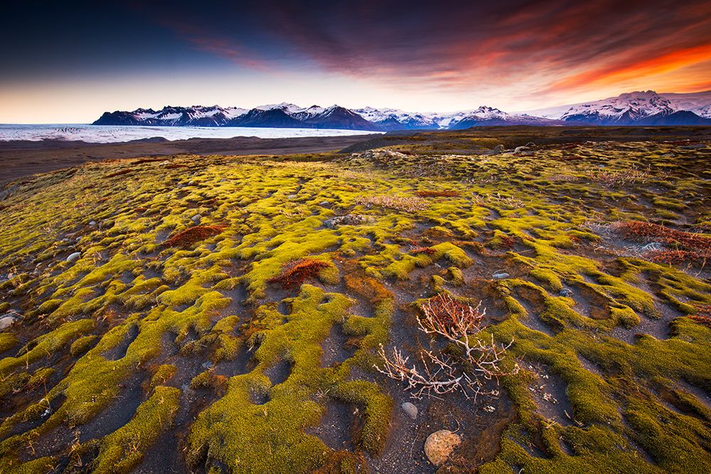 Sunrise Over A Glacial Moraine, Skaftafell National Park, Iceland art print by Grant Kaye for $57.95 CAD