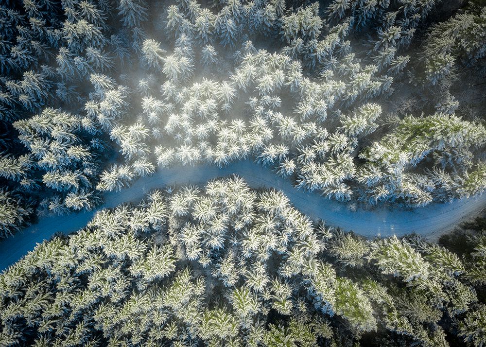Winter Road In The Snowy Forest From Above art print by Evgeny Vasenev for $57.95 CAD