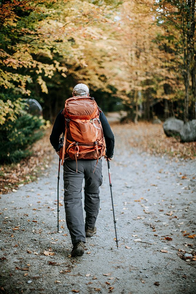 A Hiker With A Backpack Walks Through Fall Foliage In The Maine Woods art print by Chris Bennett for $57.95 CAD