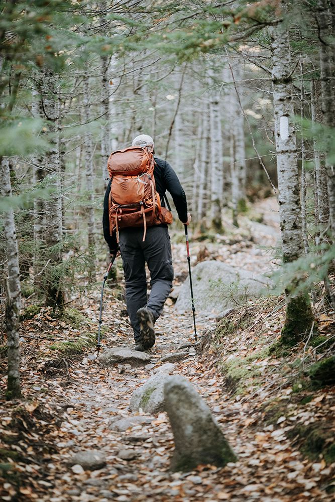 A Male Retirement Age Hiker Walks On The Appalachian Trail In Maine art print by Chris Bennett for $57.95 CAD