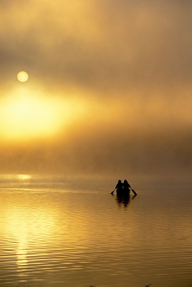Two Women Canoe On Misty Lake In Algonquin Park, Ontario, Canada. art print by Henry Georgi for $57.95 CAD