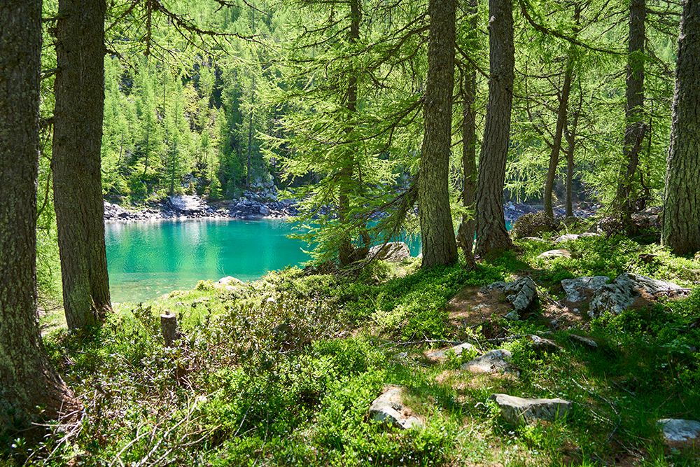 Blue Lake In The Woods, Madesimo, Lombardy, Italy art print by Triaca Francesco for $57.95 CAD