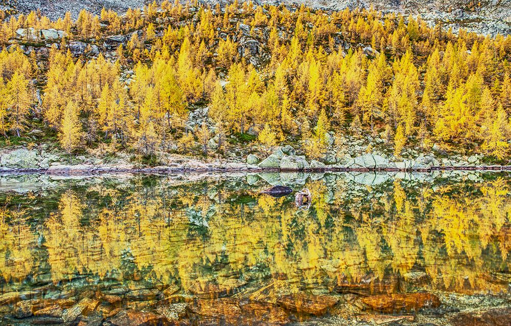 Laguzzuolo In Autumn, Alps, Italy art print by Triaca Francesco for $57.95 CAD