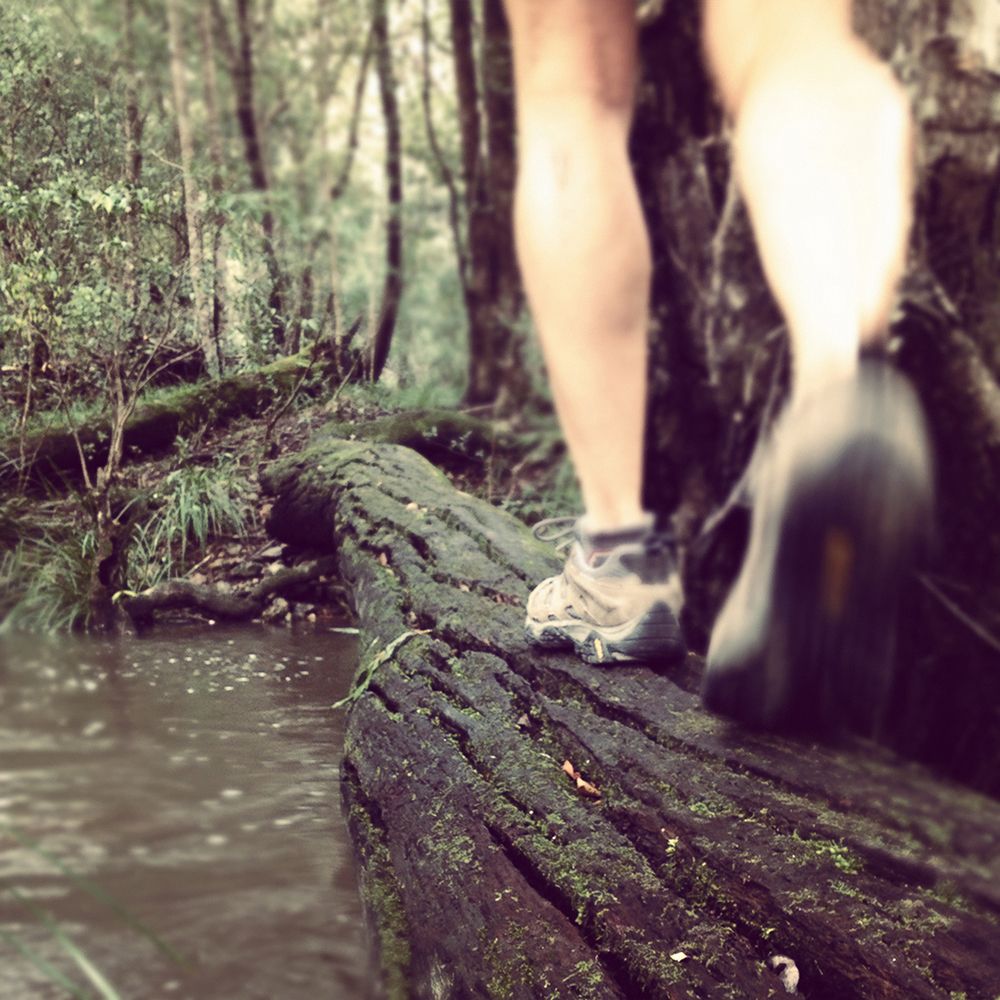 A Hiker Walks Along A Log To Cross A Stream In The Rainforest Queensland Australia art print by Andrew Peacock for $57.95 CAD