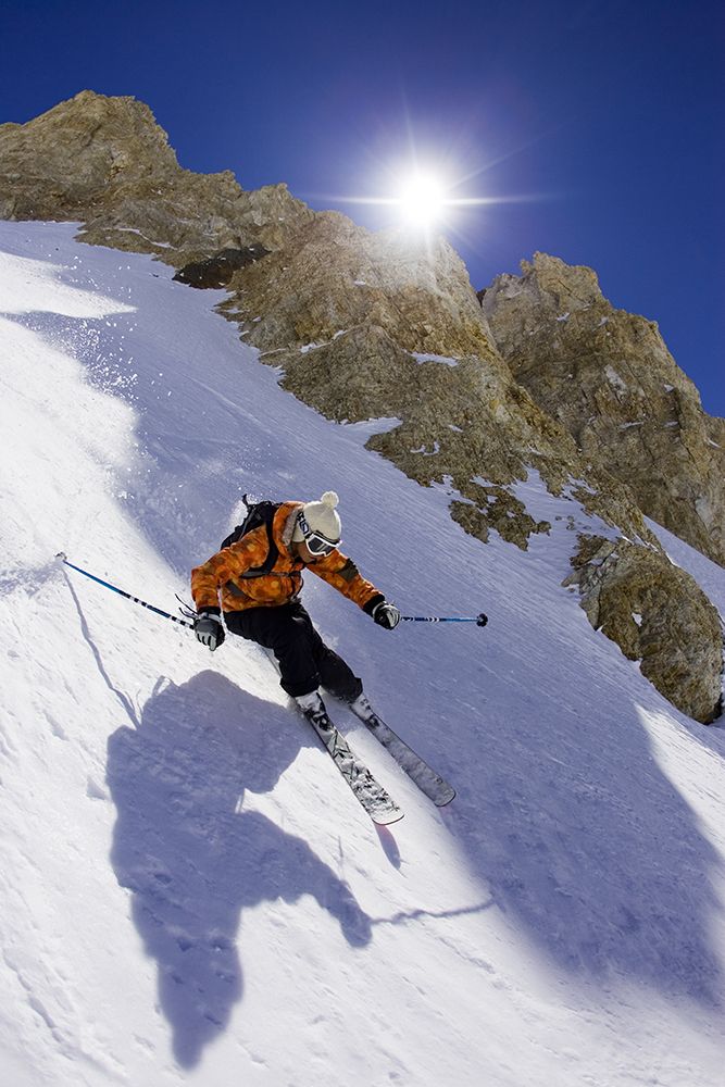 Woman Skiing On Sunny Day, Argentina art print by Gabe Rogel for $57.95 CAD