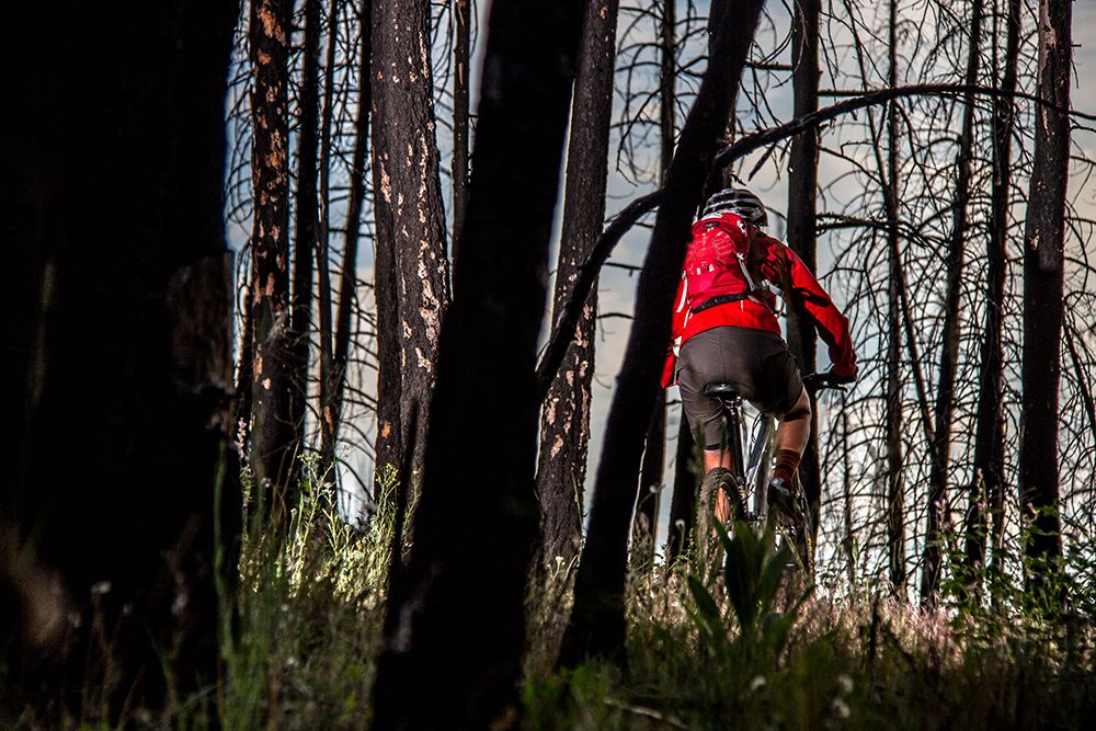 Mountain Biking On Warm Springs Trail, Baldy Mountain, Sun Valley, Id art print by Gabe Rogel for $57.95 CAD