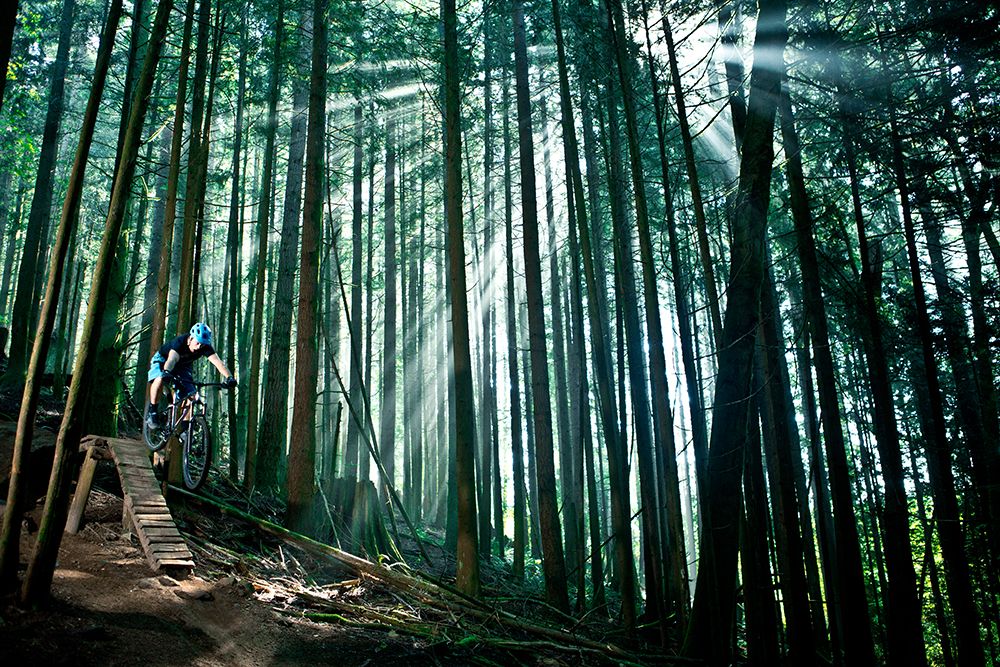 Mountain Biking art print by Gabe Rogel for $57.95 CAD