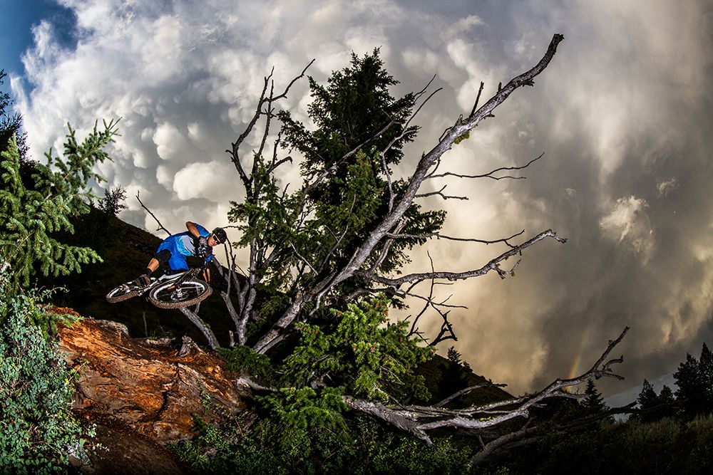 Mountain Biking art print by Gabe Rogel for $57.95 CAD