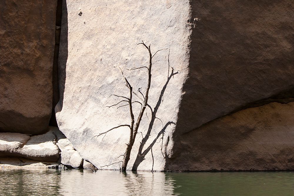 Tree Shadow Cast On Rock Face Above Calm Lake Water Surface art print by Maureen Sarah for $57.95 CAD