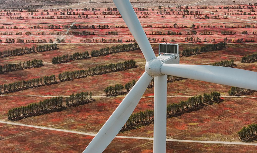 Close Up Of Wind Turbine Amidst A Field Of Wild Blueberries art print by Chris Bennett for $57.95 CAD