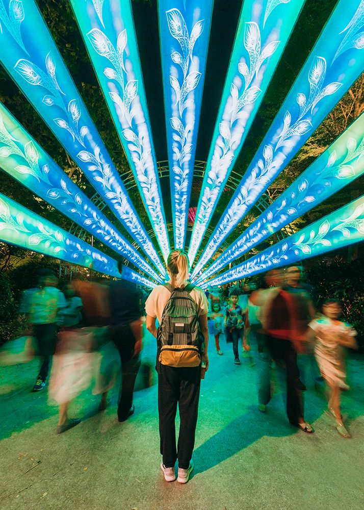 Visitors Walking Around Female Backpacker Standing Under Illuminated Marina Bay Panels At Singapore art print by Evgeny Vasenev for $57.95 CAD